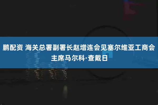 鹏配资 海关总署副署长赵增连会见塞尔维亚工商会主席马尔科·查戴日